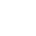 search-function